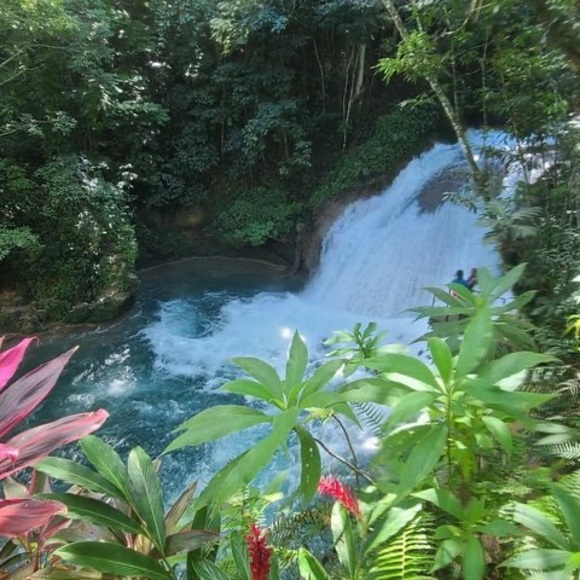 Meet your Posher, Rach - Picture 1 of 1